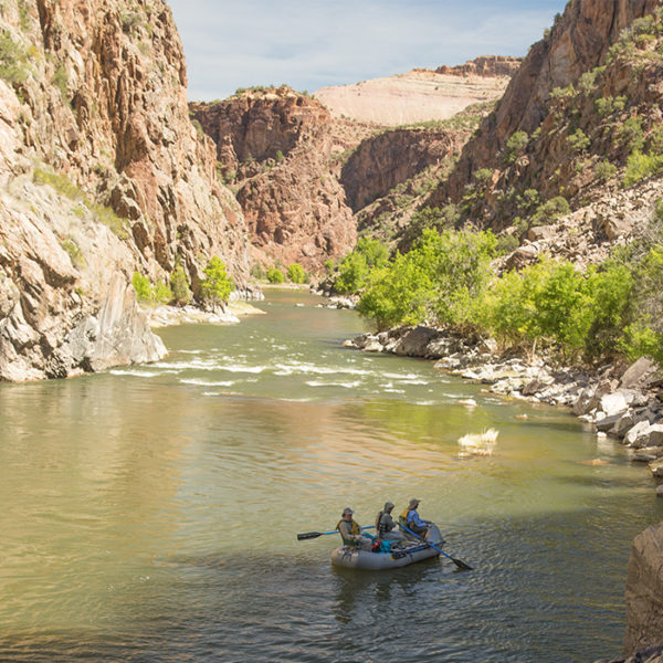 Guided Fly Fishing at Gunnison Gorge
